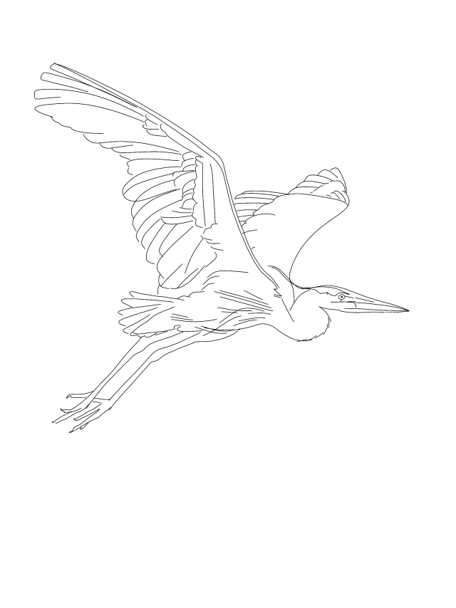 Flying heron flash design