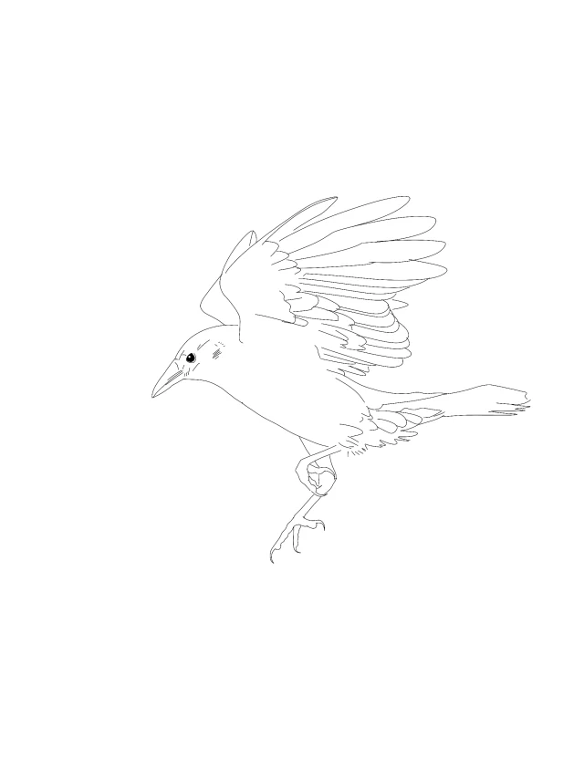 Landing bird flash design