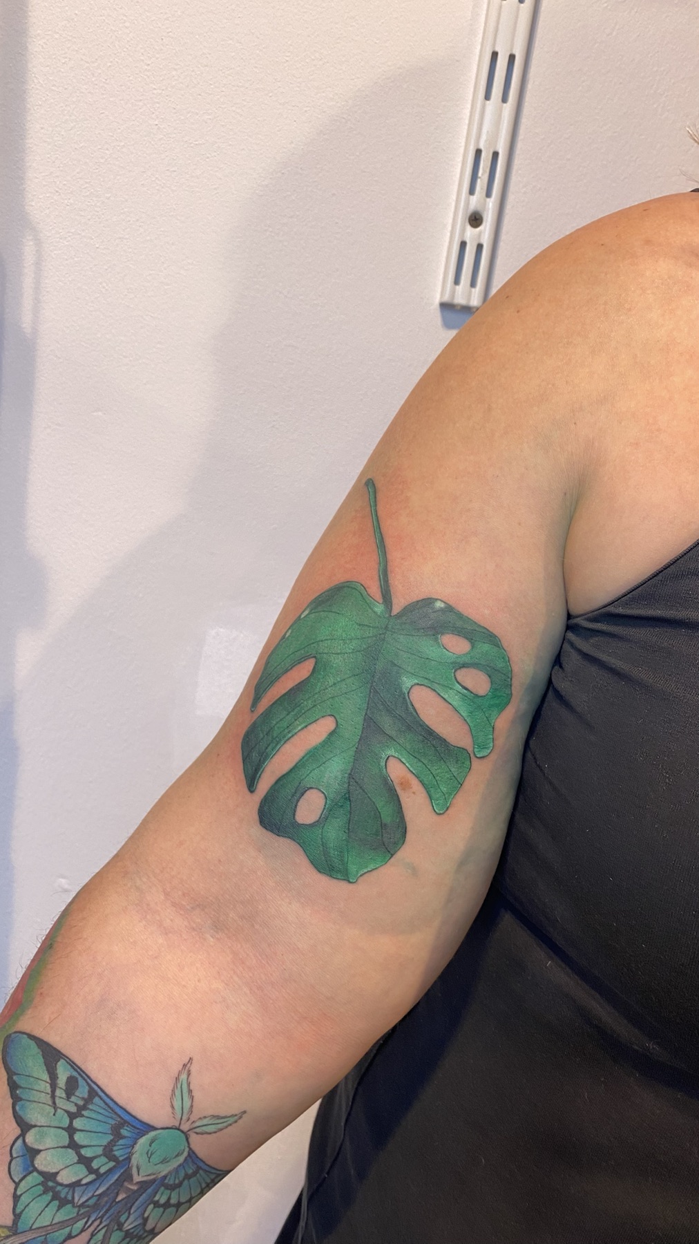 Green monstera tattoo