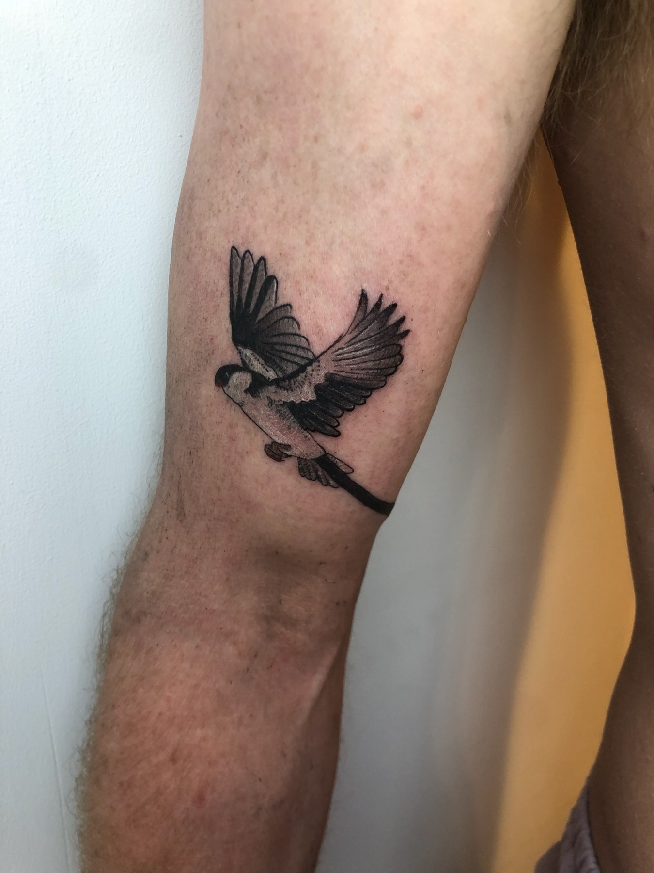 Bird in flight tattoo