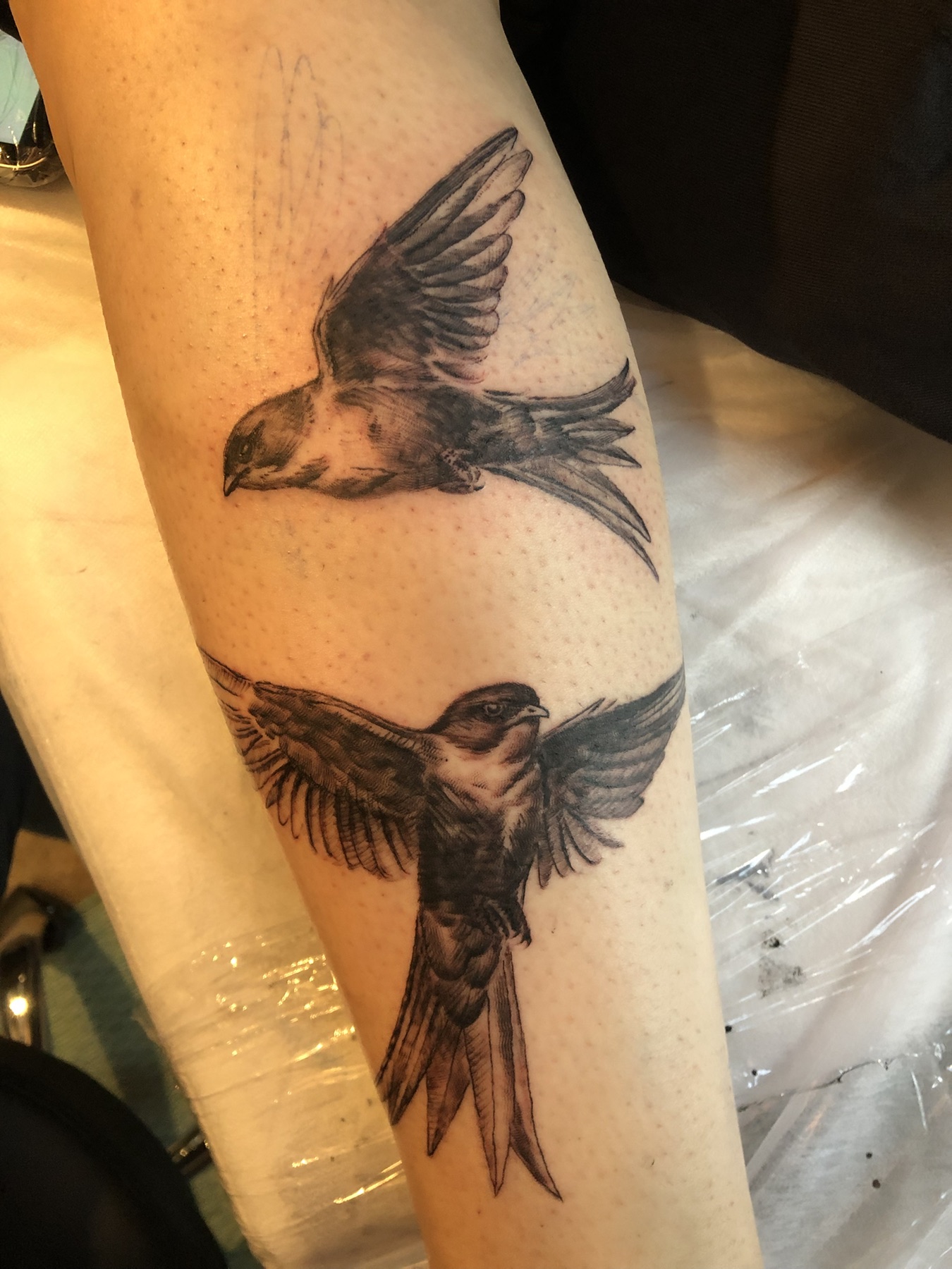 Two swallow tattoos