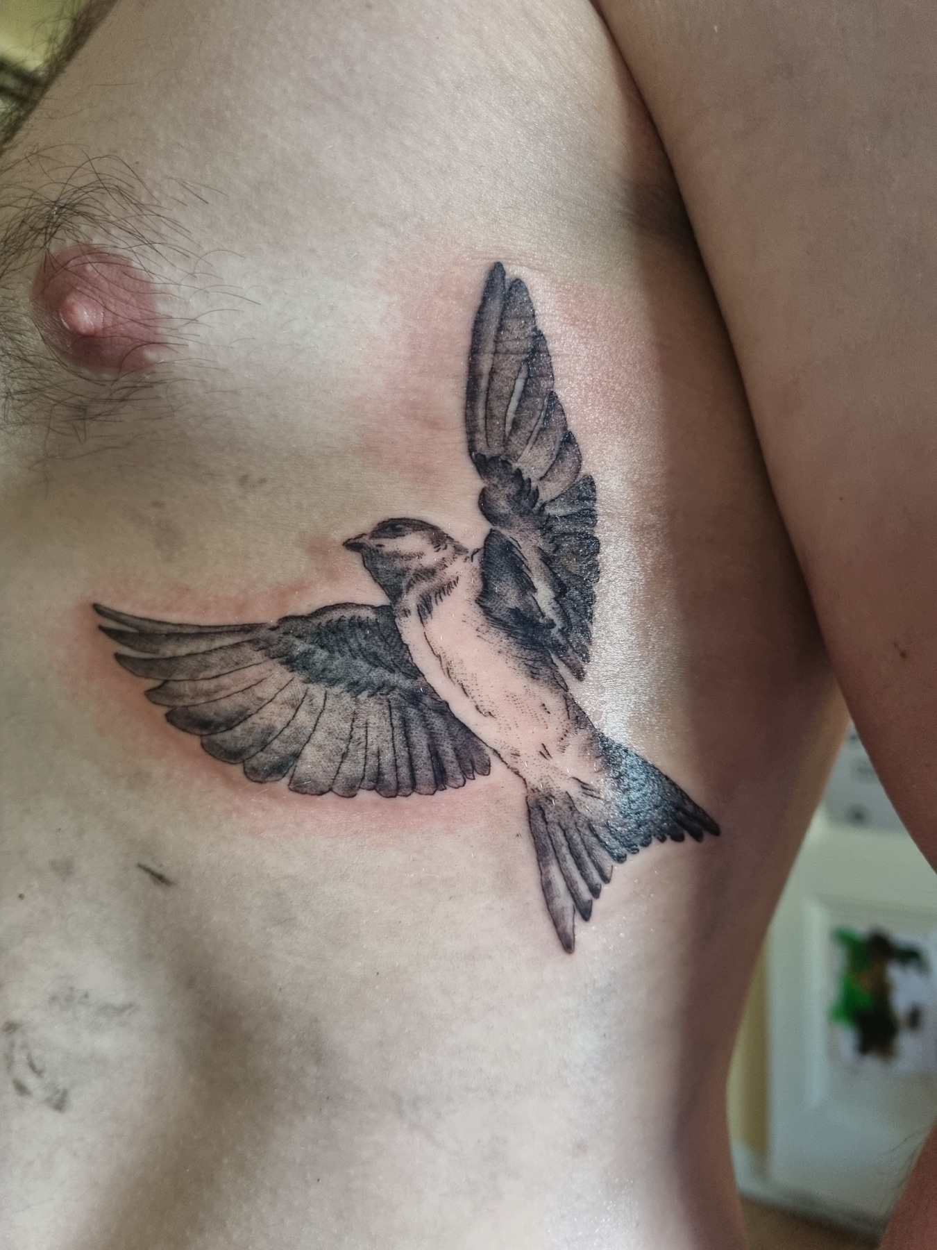 Realistic chest bird tattoo